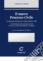 Il nuovo Processo Civile: Commento al D.Lgs. 10 ottobre 2022, n. 149. Con formulario delle principali novità in tema di conformità degli atti e notifiche. E-book. Formato PDF ebook