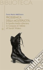 Prossemica della molteplicità la Londra tardo-vittorana: in Carezza di Velluto di Sarah Waters. E-book. Formato EPUB ebook