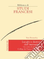 Luoghi e destini dell’immagine: Un corso di poetica al Collège de France 1981-1993. E-book. Formato PDF ebook