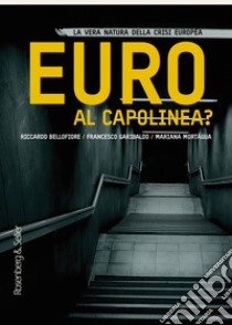 Euro al capolinea?: La vera natura della crisi europea. E-book. Formato PDF ebook di Riccardo Bellofiore