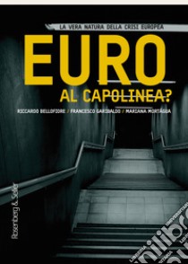 Euro al capolinea?: La vera natura della crisi europea. E-book. Formato EPUB ebook di Riccardo Bellofiore