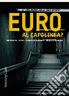 Euro al capolinea?: La vera natura della crisi europea. E-book. Formato EPUB ebook di Riccardo Bellofiore