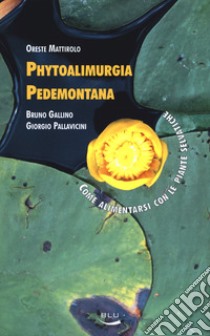 È Gramsci, ragazzi: Breve storia dell’uomo che odiava gli indifferenti. E-book. Formato EPUB ebook di Mattirolo Oreste; Gallino Bruno; Pallavicini Giorgio