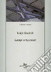 Lampi orizzontali. E-book. Formato EPUB ebook di Luigi Grazioli