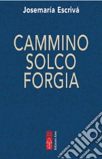 Cammino Solco Forgia. E-book. Formato EPUB ebook