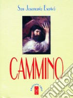 Cammino. E-book. Formato EPUB ebook