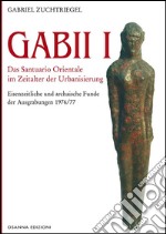 Gabii IDas Santuario Orientale im Zeitalter der Urbanisieriung. E-book. Formato PDF