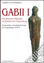 Gabii IDas Santuario Orientale im Zeitalter der Urbanisieriung. E-book. Formato PDF ebook