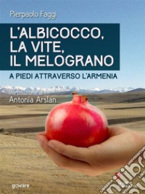 L’albicocco, la vite, il melograno. A piedi attraverso l’Armenia. E-book. Formato EPUB ebook di Pierpaolo Faggi. Introduzione di Antonia Arslan