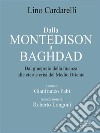 Dalla Montedison A Baghdad. Dal ginepraio della finanza  alle eterne crisi del Medio Oriente. E-book. Formato EPUB ebook di Lino Cardarelli