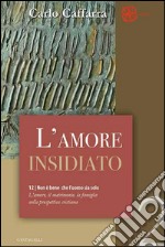 L'amore insidiato: L'amore, il matrimonio, la famiglia nella prospettiva cristiana (vol. 2). E-book. Formato PDF ebook