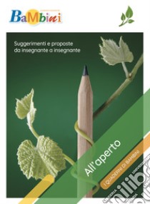 All'aperto: Suggerimenti e proposte da insegnante a insegnante. E-book. Formato PDF ebook di Chiara Bernasconi