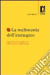 La malinconia dell'immagine. Rappresentazione e significato in Walter Benjamin e Aby Warburg. E-book. Formato PDF ebook