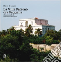 La villa Paternò. Nella contrada di San Rocco a Napoli. E-book. Formato PDF ebook di Marco Di Mauro