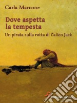 Dove aspetta la tempesta.: Un pirata sulla rotta di Calico Jack. E-book. Formato EPUB ebook