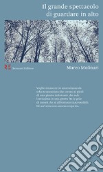 Il grande spettacolo di guardare in alto. E-book. Formato Mobipocket ebook