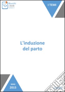 L'induzione del parto. E-book. Formato EPUB ebook di Nicoletta Scarpa