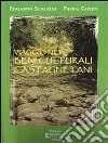 Viaggio nei beni culturali castagnetani. E-book. Formato PDF ebook