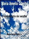 Il nascondiglio dei serafini. E-book. Formato EPUB ebook di Maria Amelia Còmito