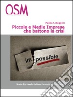 Piccole e medie imprese che battono la crisi. In tempi difficili, solo i più forti fanno utili. Storie di aziende che ce la fanno, ogni giorno, tutti i giorni. E-book. Formato EPUB ebook