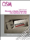 Piccole e medie imprese che battono la crisi. In tempi difficili, solo i più forti fanno utili. Storie di aziende che ce la fanno, ogni giorno, tutti i giorni. E-book. Formato EPUB ebook di Paolo A. Ruggeri