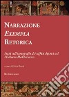 Narrazione, exempla, retorica. Studi sull'iconografia dei soffitti dipinti nel Medioevo mediterraneo. E-book. Formato PDF ebook