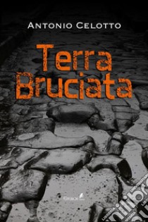 Terra Bruciata. E-book. Formato EPUB ebook di Antonio Celotto