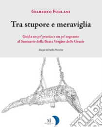 Tra stupore e meraviglia: Guida un po’ pratica e un po’ sognante al Santuario della Beata Vergine delle Grazie. E-book. Formato EPUB ebook di Gilberto Furlani