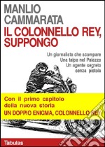 Il colonnello Rey, suppongo: Un giornalista che scompare. Una talpa nel Palazzo. Un agente segreto senza pistola. E-book. Formato EPUB ebook