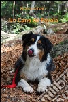 Un cane da favola. E-book. Formato EPUB ebook di Michele Caricato