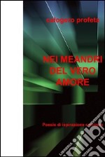 Nei meandri del vero amore. E-book. Formato EPUB ebook