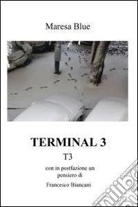 Terminal 3. E-book. Formato EPUB ebook