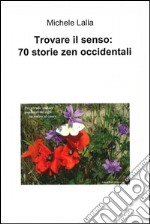 Trovare il senso: 70 storie zen occidentali. E-book. Formato EPUB ebook