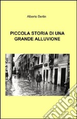 Piccola storia di una grande alluvione. E-book. Formato EPUB ebook