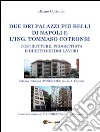 Due dei palazzi pi?? belli di Napoli e l??ng. Tommaso Cotronei. E-book. Formato PDF ebook