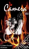Camera 101 - L’osceno è la radice del piacere. E-book. Formato PDF ebook di Enea Tonon