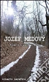 Jozef Medovy' Slub z lásky k Bohu . E-book. Formato PDF ebook di Roberto Serafini