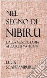 Nel segno di Nibiru. Dalla Mesopotamia ai segreti vaticani. E-book. Formato EPUB ebook