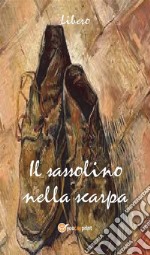 Il sassolino nella scarpa. E-book. Formato EPUB ebook