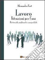 Lavoro- Istruzioni per l'uso. E-book. Formato PDF