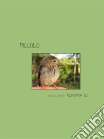 Piccolo - Versione italiana. E-book. Formato EPUB ebook di Blimunda Bli