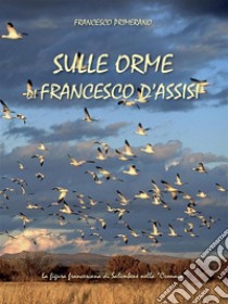 Sulle orme di Francesco d'Assisi. E-book. Formato Mobipocket ebook di Francesco Primerano