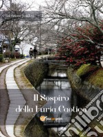 Il sospiro della furia caotica. E-book. Formato EPUB ebook