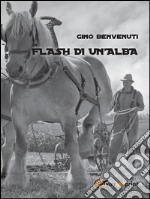 Flash di un'alba. E-book. Formato EPUB ebook