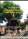 La leggenda del monte Pizzone. E-book. Formato PDF ebook