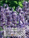La luce dei colori. E-book. Formato PDF ebook di Gianni Masato
