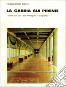 La gabbia sui Pirenei. E-book. Formato Mobipocket ebook di Piergiorgio Firinu