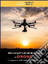 Per una lettura ermeneutica del drone. Convergenze e conflitti negli scenari internazionali. E-book. Formato EPUB ebook di Sandro Rossini