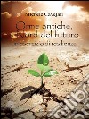 Orme Antiche, a Nord del futuro. E-book. Formato PDF ebook di Michele Cavejari