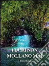 I duri non mollano mai. E-book. Formato PDF ebook di Linda Basso